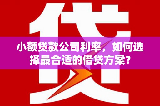 贡觉小额贷款公司利率，如何选择最合适的借贷方案？