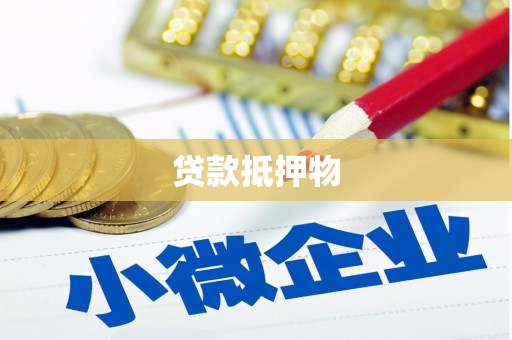 贡觉贷款抵押物