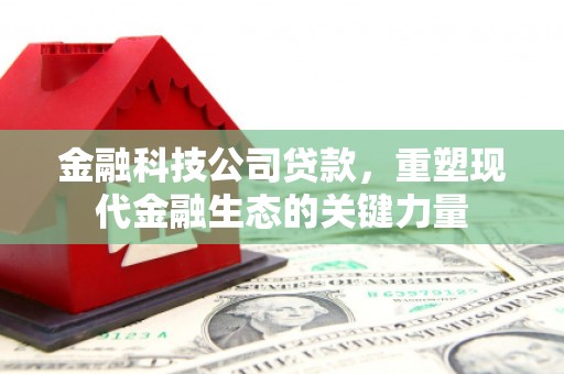 贡觉金融科技公司贷款，重塑现代金融生态的关键力量