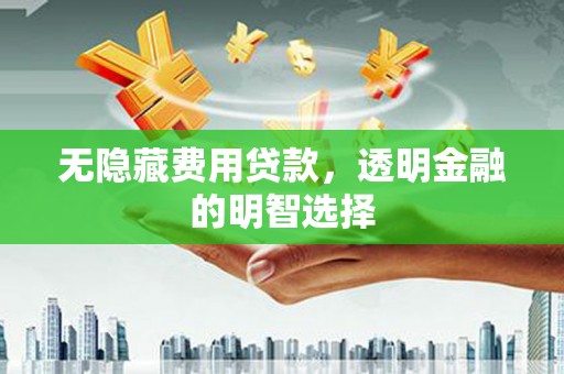贡觉无隐藏费用贷款，透明金融的明智选择