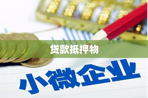 贡觉贷款抵押物