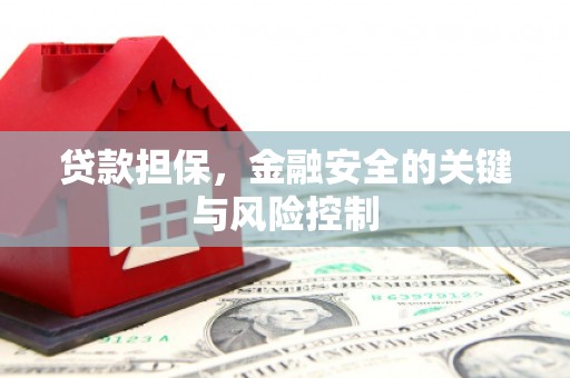 贡觉贷款担保，金融安全的关键与风险控制