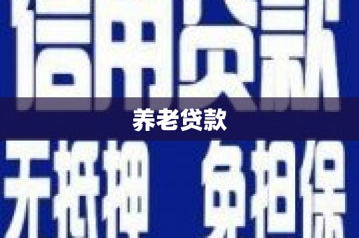 贡觉养老贷款