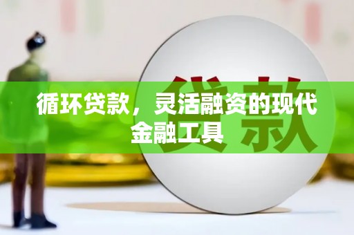 贡觉循环贷款，灵活融资的现代金融工具