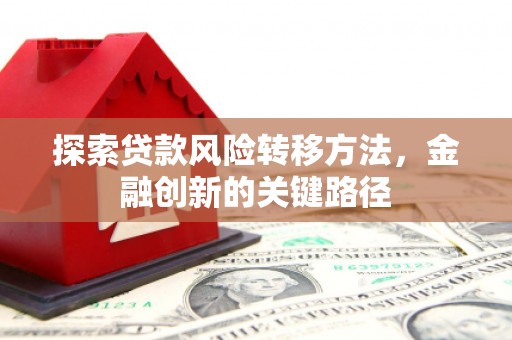 贡觉探索贷款风险转移方法，金融创新的关键路径