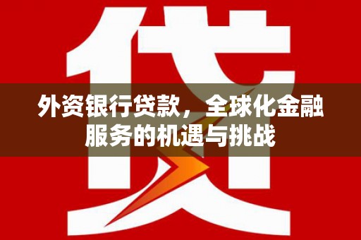 贡觉外资银行贷款，全球化金融服务的机遇与挑战