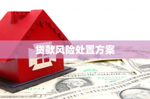 贡觉贷款风险处置方案