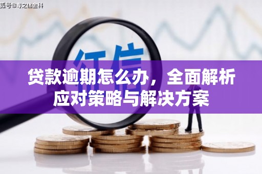 贡觉贷款逾期怎么办，全面解析应对策略与解决方案
